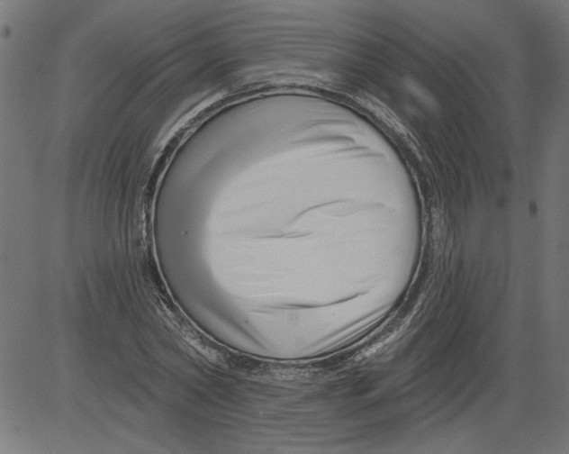 X0000081360782200702020139