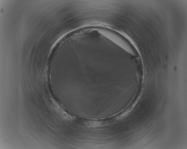 X0000081360783200702020139