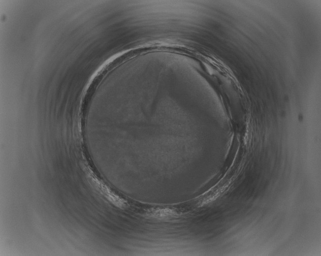 X0000081360784200702020139