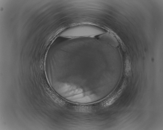 X0000081360785200702020139