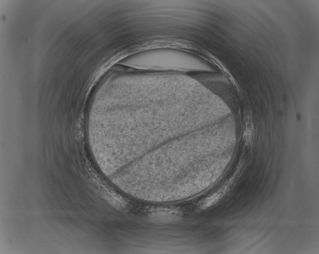 X0000081360786200702020139