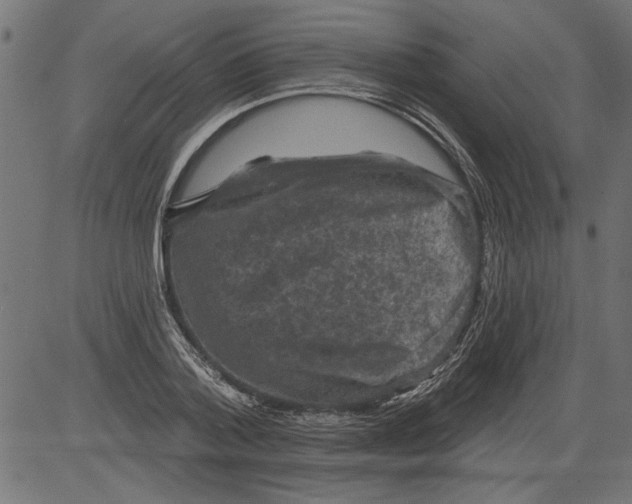 X0000081360788200702020139