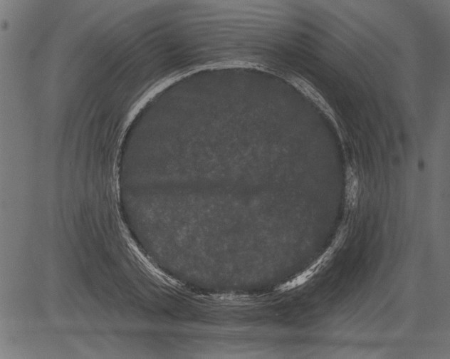 X0000081360789200702020139