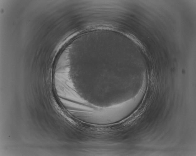 X0000081360790200702020139