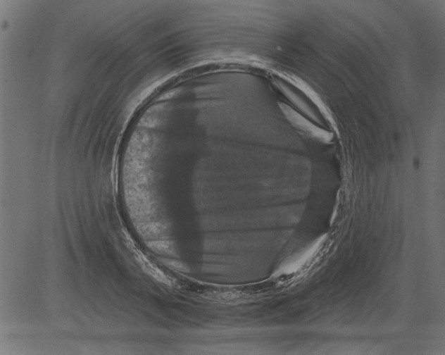 X0000081360791200702020139