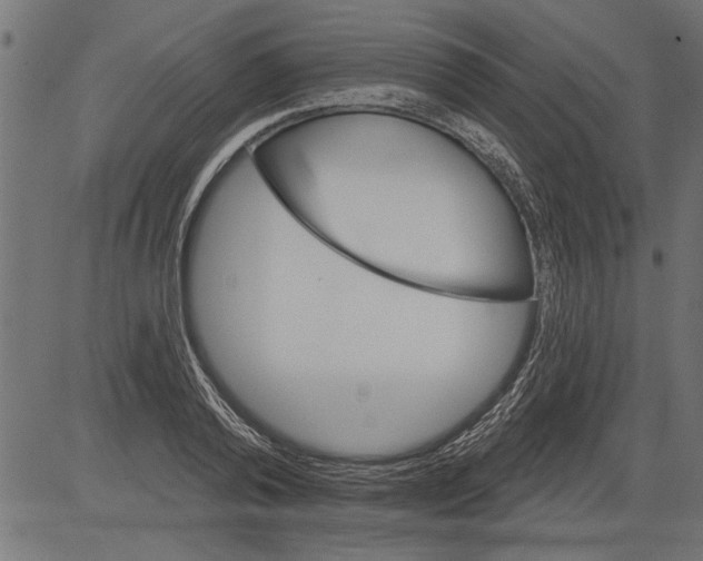 X0000081360792200702020139