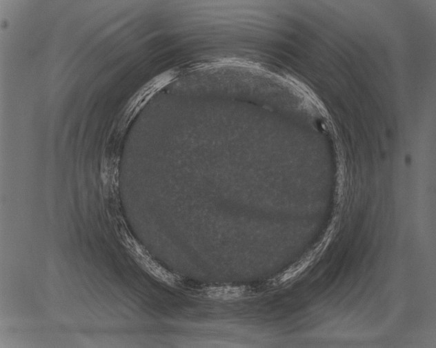 X0000081360793200702020139