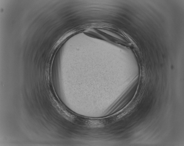 X0000081360794200702020139