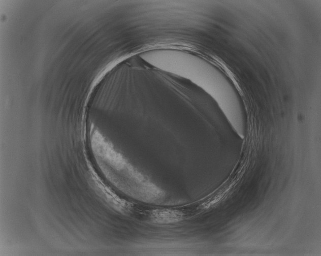 X0000081360795200702020139