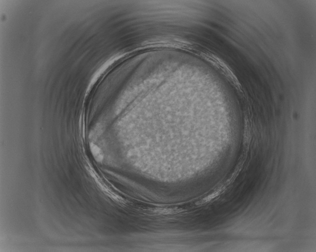 X0000081360796200702020139