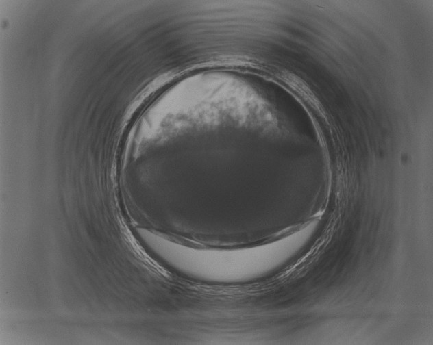 X0000081360797200702020139