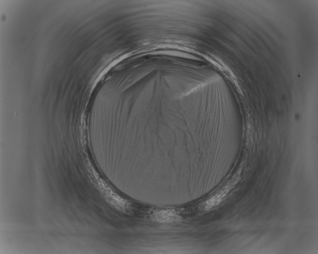 X0000081360798200702020139