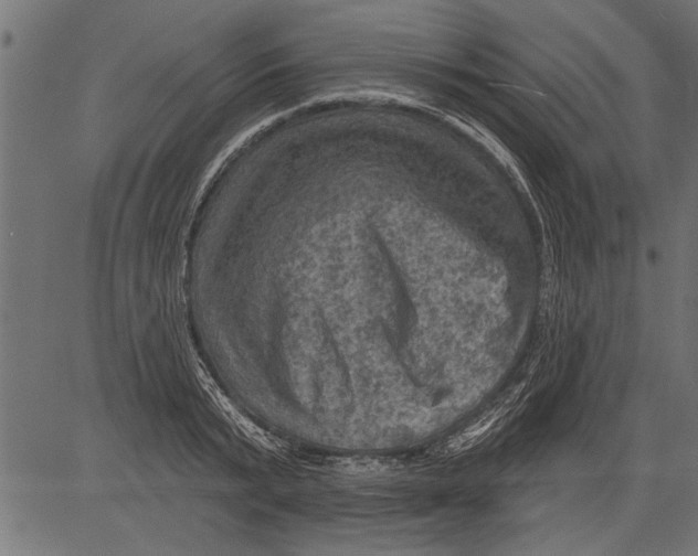 X0000081360799200702020139