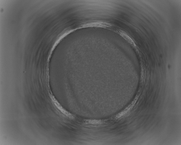 X0000081360800200702020139