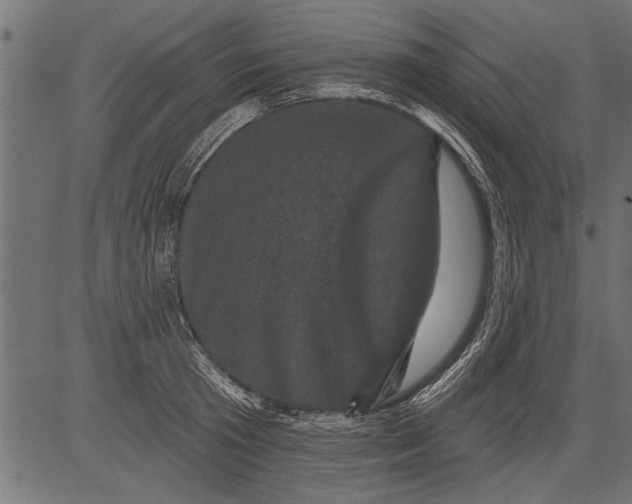 X0000081360801200702020139