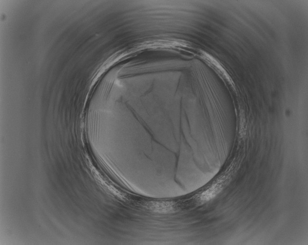 X0000081360802200702020139