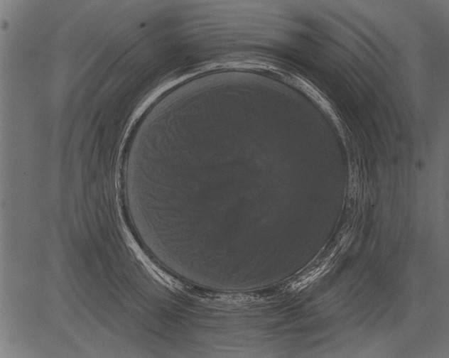 X0000081360803200702020139