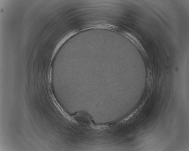 X0000081360804200702020138