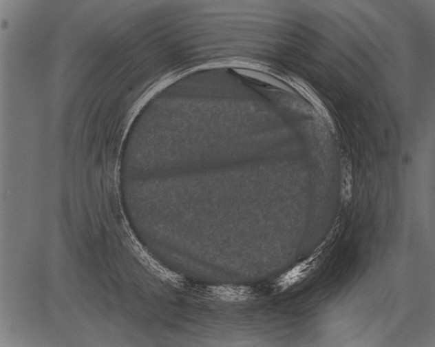 X0000081360805200702020138