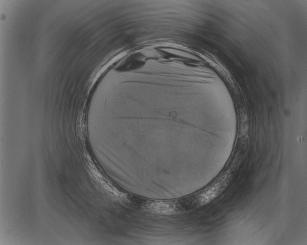 X0000081360806200702020138