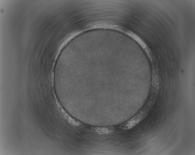 X0000081360807200702020138