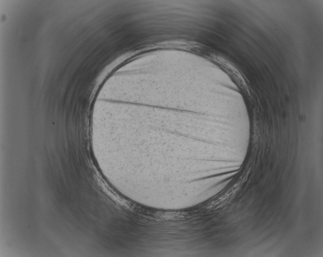 X0000081360808200702020138