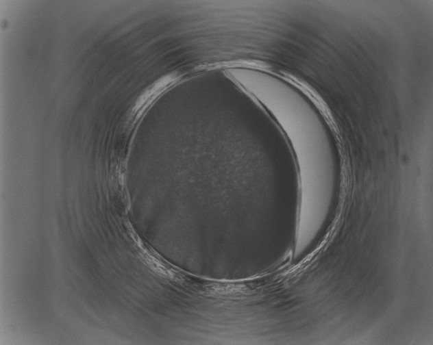 X0000081360809200702020138