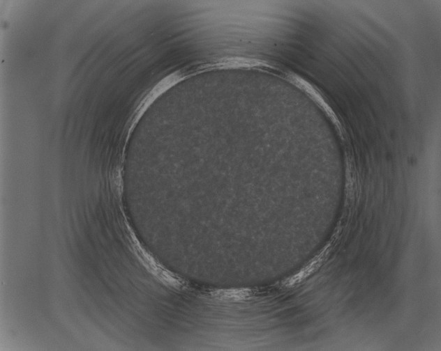 X0000081360810200702020138