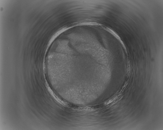 X0000081360811200702020138