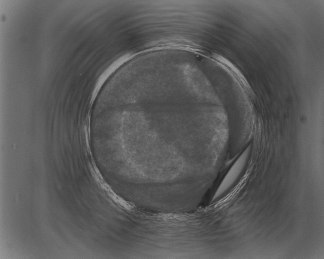 X0000081360812200702020138