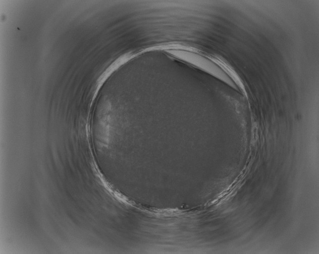 X0000081360813200702020138