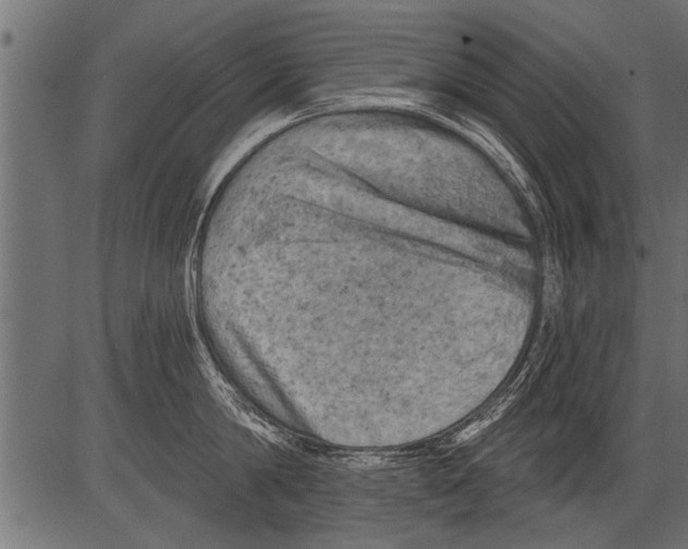 X0000081360814200702020138