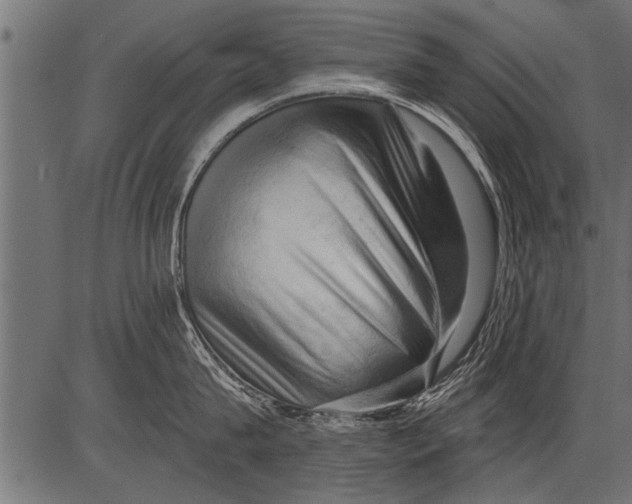 X0000081360815200702020138