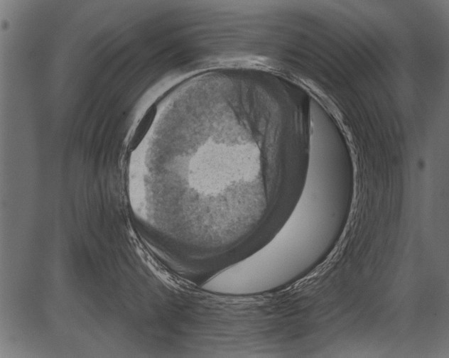 X0000081360816200702020138