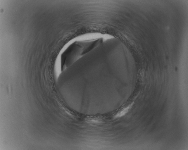 X0000081360817200702020138