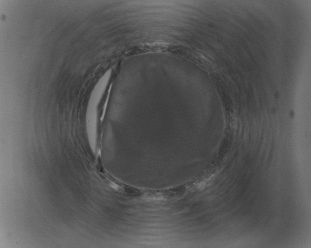 X0000081360818200702020138