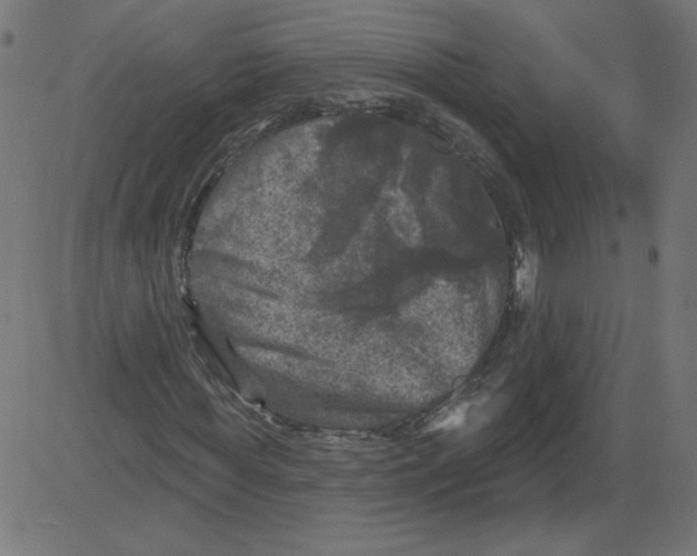 X0000081360819200702020138