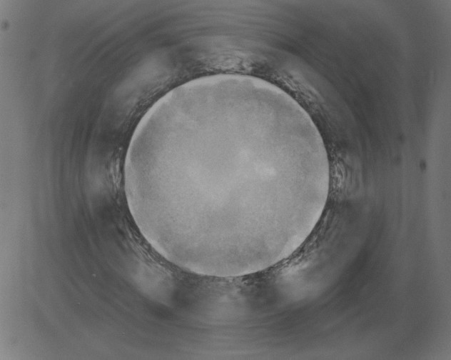 X0000081360820200702020138