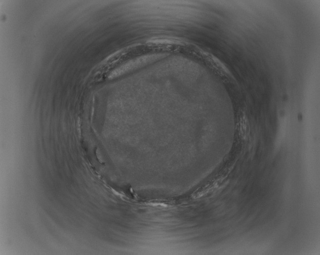 X0000081360821200702020138