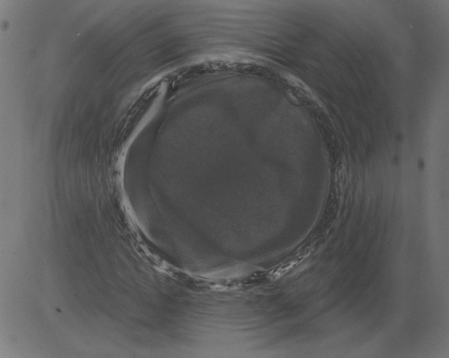 X0000081360822200702020138