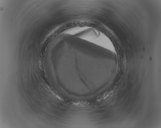 X0000081360823200702020138