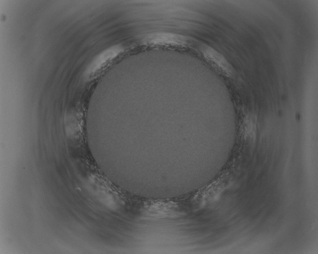 X0000081360824200702020138