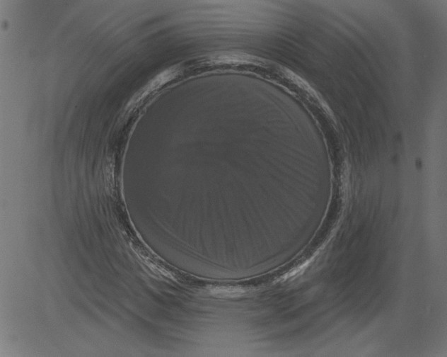 X0000081360825200702020138