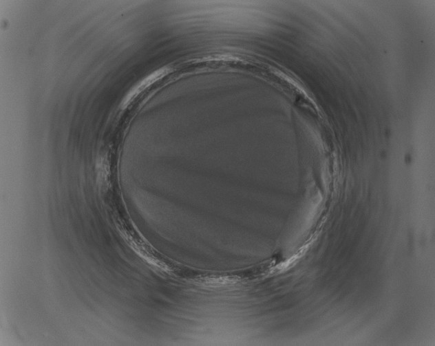 X0000081360826200702020138