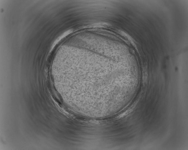 X0000081360827200702020138