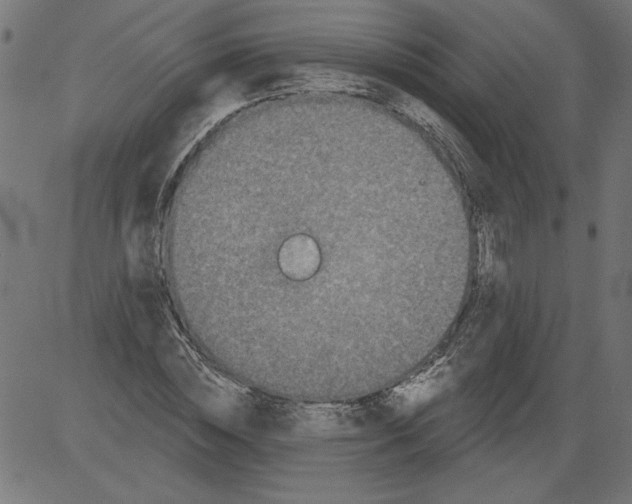 X0000081360828200702020138