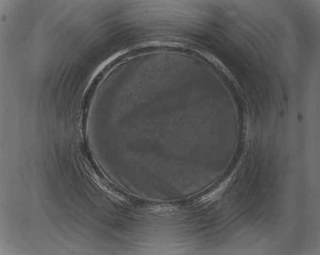 X0000081360830200702020138