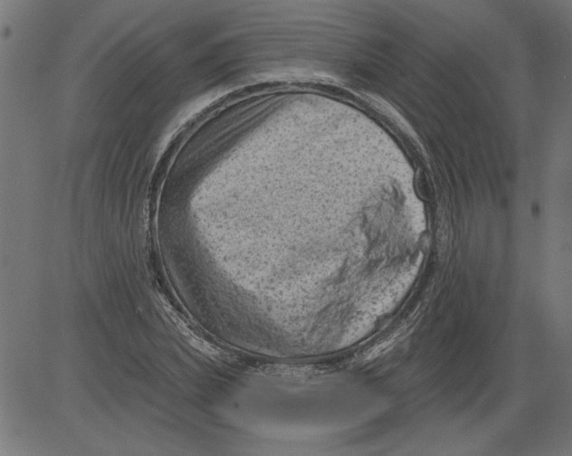 X0000081360831200702020138