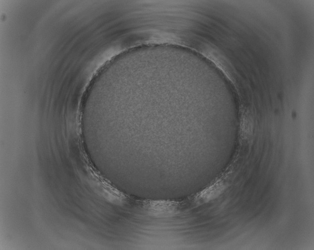 X0000081360832200702020138