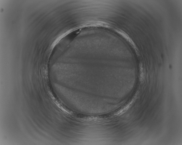 X0000081360834200702020138